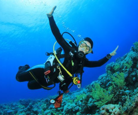 Mastering Underwater Exploration: A Comprehensive Guide to Photography and Navigation
