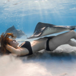 The Intersection of Ocean Conservation and Hydrodynamics in Diving
