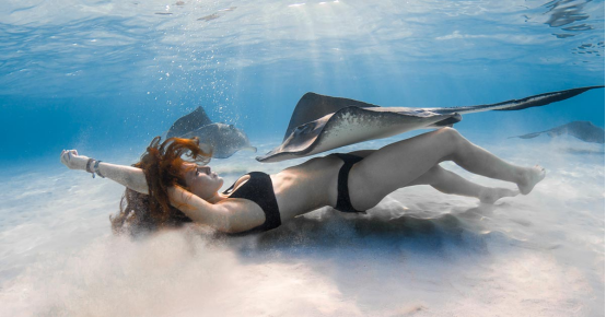 The Intersection of Ocean Conservation and Hydrodynamics in Diving