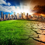 Environmental Education: The Ultimate Guide for a Sustainable Future