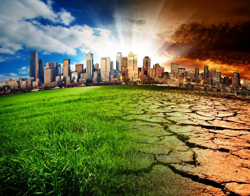 Environmental Education: The Ultimate Guide for a Sustainable Future