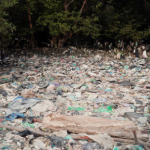 The Environmental Tragedy of Plastic Pellets: An Ultimate Guide to Nurdle Pollution and Solutions